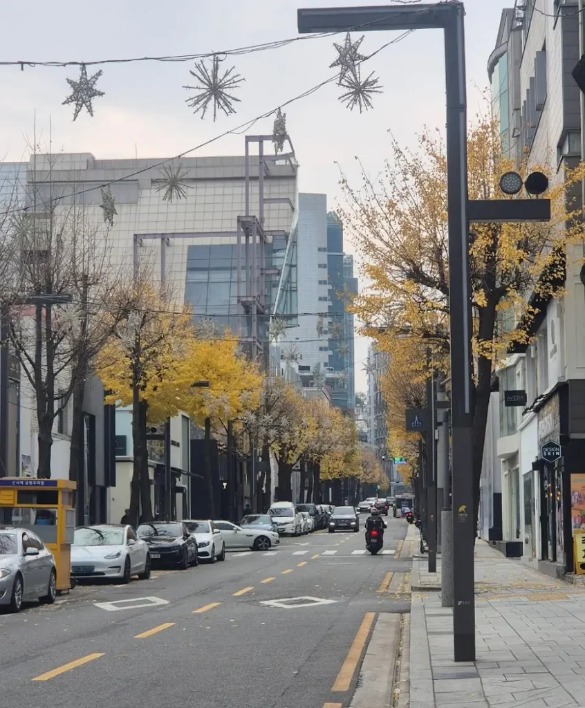 Garosu-gil street in Seoul during autumn with yellow ginkgo trees and parked cars